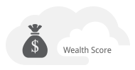 Predictive Score | Wealth Score